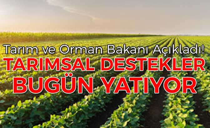 Tarımsal destekler bugün yatıyor