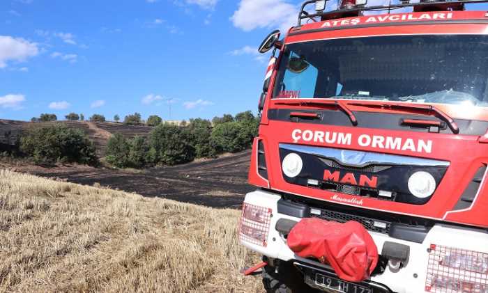  Tarlada çıkan anız yangını 20 hektarlık alana zarar verdi!
