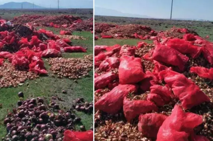 Tonlarca Patetes ve soğan Dere Kenarına Döküldü