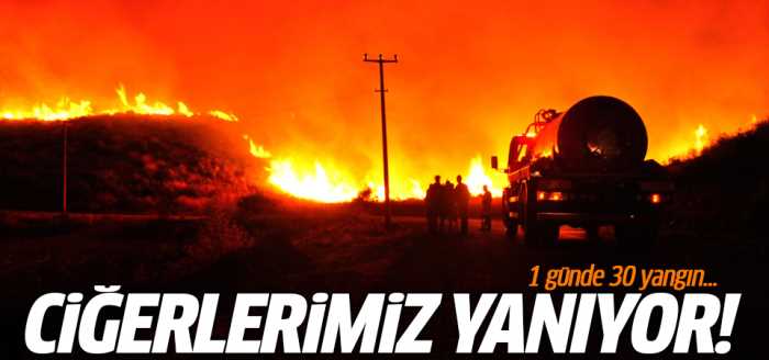 Türkiye'nin Ciğerleri yanıyor! 1 günde 30 yangın