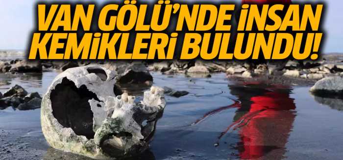 Van Gölü sahilinde insan kemikleri bulundu