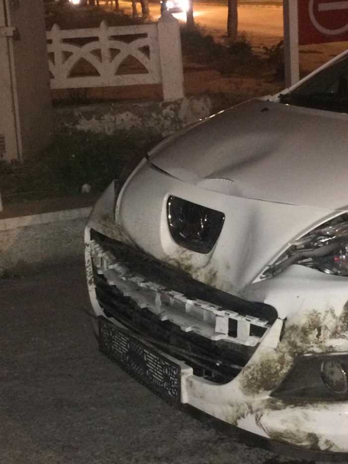 YOLDA İLERLEYEN OTOMOBİL DOMUZA ÇARPTI
