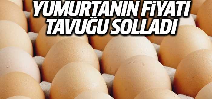 Yumurtanın fiyatı, tavuğu geçti