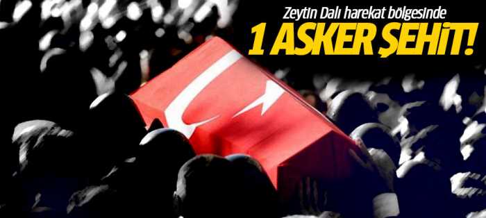 Zeytin Dalı harekat bölgesinde 1 asker şehit!