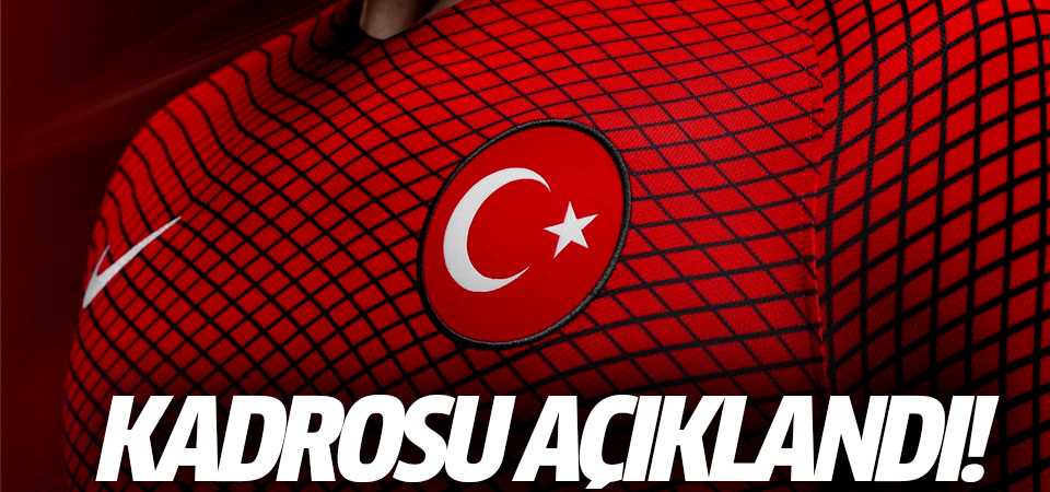 Fransa Milli Takımı Amblemi : Arnavutluk Fransa Maci Ne Zaman Saat Kacta Hangi Kanalda Spor Haber : Gurur duyulası bir milli takım.