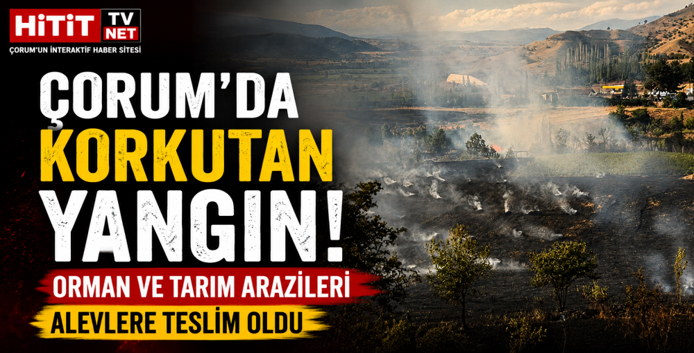 Çorum'da Korkutan Yangın! Orman ve Tarım Arazileri Alevlere Teslim Oldu