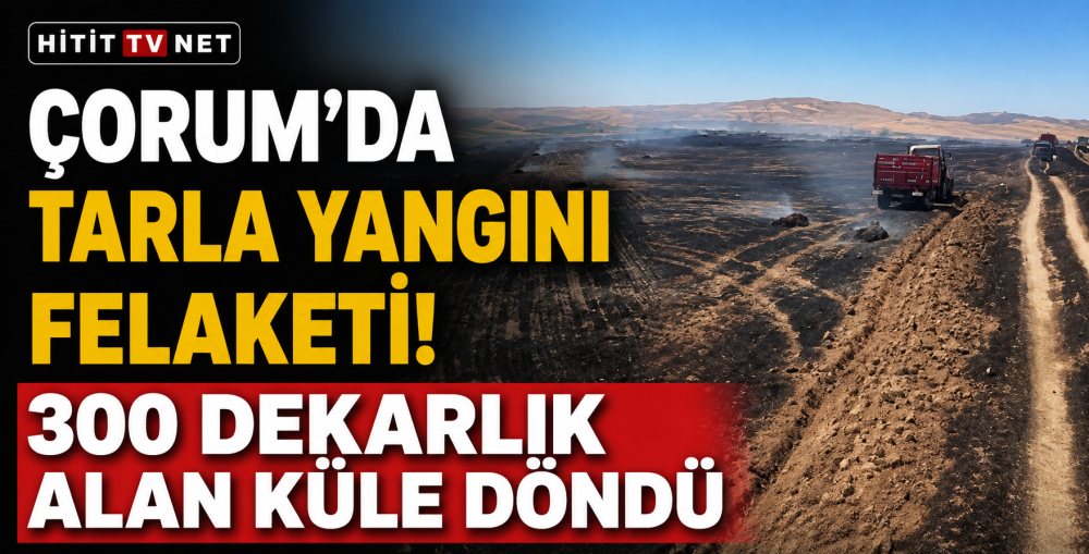 Çorum'da Tarla Yangını Felaketi! 300 Dekarlık…