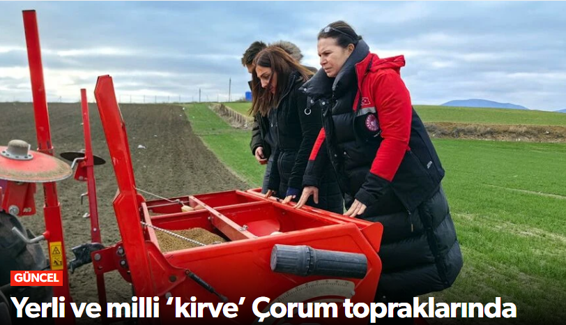 Yerli ve Milli Buğday Çeşidi “Kirve” Çorum’da…